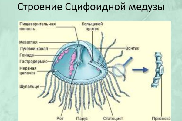 Оригинальная ссылка на кракен