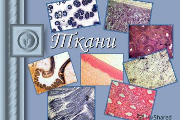 Сайт тор кракен