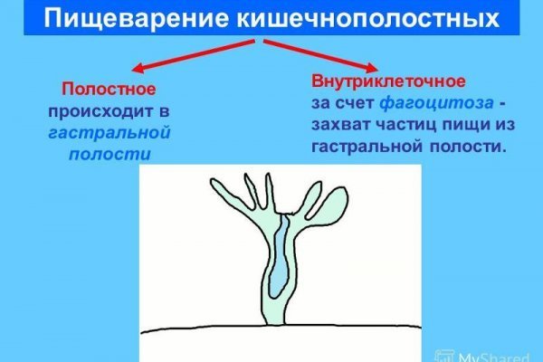 Кракен рабочая ссылка на официальный магазин